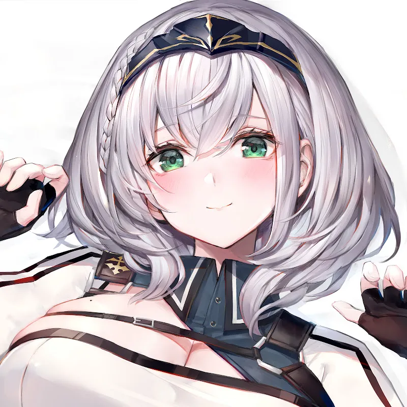 Avatar ShiroganeNoel